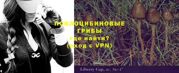винт Каменногорск