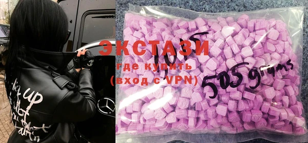 ECSTASY Каменка