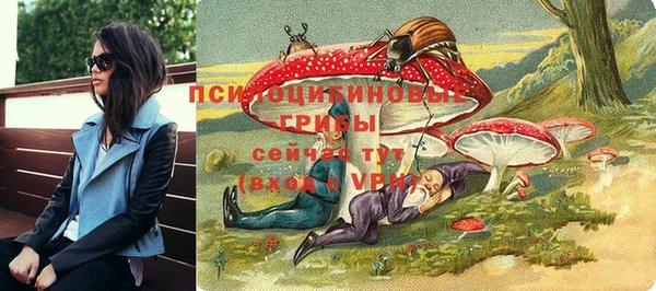 ALPHA PVP Каменск-Шахтинский