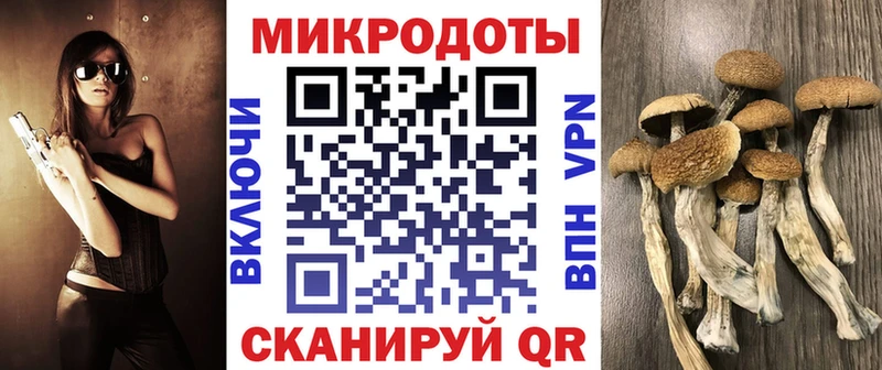 Купить где  Дальнегорск  Галлюциногенные грибы ЛСД 