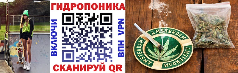 Купить где  Дальнегорск  Бошки Шишки OG Kush 